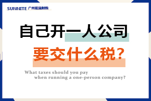 一人自己开公司要交什么税？